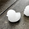 3月の雪にはしゃいで遊んでみる40代