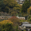 鳩ノ巣の紅葉(その2)