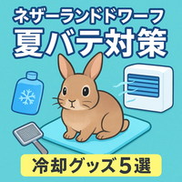 【温度管理のコツ】ネザーランドドワーフの夏バテ対策！涼しく過ごすための冷却グッズ5選