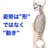 姿勢は”形”ではなく”動き”