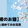 【今週のお題】よかった、間に合った！念願の我が子とお花見。