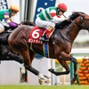 競馬初心者必見☆馬券予想🔥〜京王杯2歳S〜将来のスプリント王への登竜門！〜