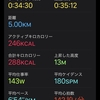 ひかげ