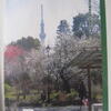 ５月22日、東京スカイツリー図案の風景印４種類誕生！