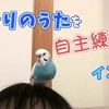 ことりのうた♪を自主練習するセキセイインコ