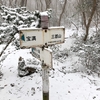 かすや通信1月25日号発行のお知らせ