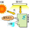 空気をキレイにする新聞紙の事。