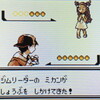 『VCポケモン金銀』をやり直す その７【攻略プレイ日記】