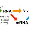 RNA干渉の治療への応用