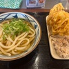 うどんと野菜天ぷらと唐揚げと