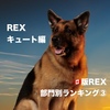 海外ドラマレビュー☆🇨🇦版セントジョンズREX 部門別ランキング③　REXキュート編