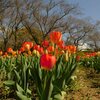 ４月Ｅまでの、日米協議の整理