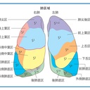 お前らこれが真実だ！！〜現役学生が語る看護学校の裏側〜