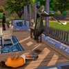 Life&Death（37）