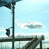 おさかな雲が見えました