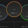 【ラン】ひっさしぶりの連続ラン【ナチュラルBU】