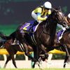 ソウルスターリングvs歴戦のGI古馬、 毎日王冠で優位はどっちだ？