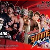 VKFプロレス 大阪大会決定！