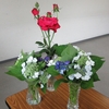 薔薇と紫陽花