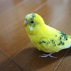 インコ走りって可愛い