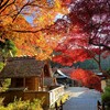 【京都】『日向大神宮』に行ってきました。　紅葉