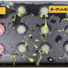 水耕栽培9　【ガーデンレタスミックス】