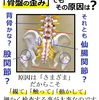 「ボキ」と捻るのだけが骨盤矯正じゃないですよ！当院の骨盤矯正について