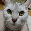 はやと10歳に成りました
