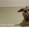 前向きを入り口にする