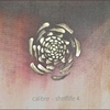  Calibre / Shelflife 4