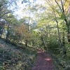 浅間山公園_花・実・富士山とか・・（東京都府中市）