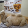 四天王に踏まれ続けて2100年～がんばれ！邪鬼～