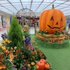 あちこちでハロウィンの装飾を見かけますが