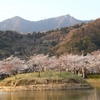 北条大池　夕暮れの桜・・