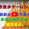 代々木公園＆はるのおがわ公園　晩秋の明治神宮をそぞろ歩き　チョイと早いけど初詣ご参拝　⛩