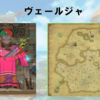 【FF14】黄金人物図鑑 「ヴェールジャ」ヤクテル樹海