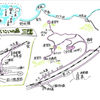 長門三隅・いこいの森の植物３月その３すかんぽ