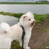 北の通路の花たち★初夏の風★日が長くなって