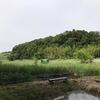 土曜日昼ウォーキング栗山あたりへ