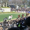 東京競馬場　マシュマロ参上