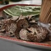 【スパリ】モルディブのローカル噛みタバコを食べてみた！味や効能、危険性を徹底食レポート【イスラム文化圏の嗜好品】