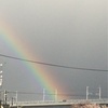 The rainbow over the cherry blossoms