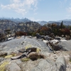 Fallout76、フォトモードで景色を撮ってみました。