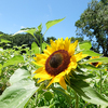 夏の講習会　報告です♪