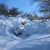 高柴山/雪魄　2016年1月31日