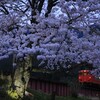 播但線の桜