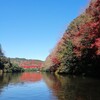 亀山ダム 2021/12/ 3 釣果1本 26cm 紅葉🍁狩り、リチウム電池95回目