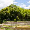 上山 景高　うやま かげたか