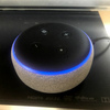 我が家にもAI知能がやってきた。キャンペーンでお値段219円。スマートスピーカー EchoDotを買いました。
