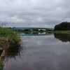 ｆｉｌｅ４６　びん沼から荒川本流